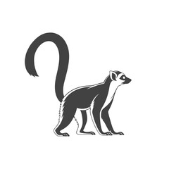 Obraz premium Ring tailed lemur silhouette wildlife animal graphic ai generated