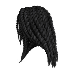 3d render braid dreadlock black hair isolated