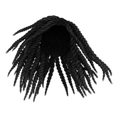 3d render braid dreadlock black hair isolated