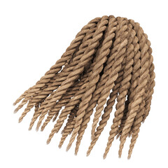 3d render braid dreadlock blonde hair isolated
