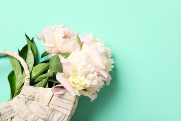 Wicker bag with beautiful peony flowers on turquoise background