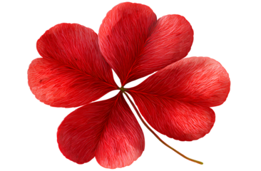 Red four-leaf clover isolated on a transparent background