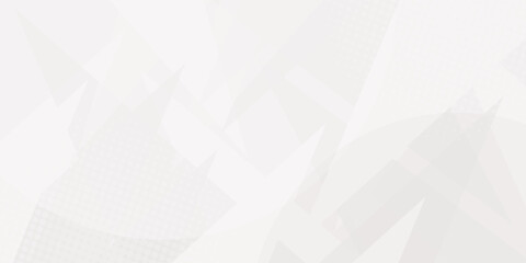 Abstract background ,Technology modern style overlay, with space for design, text input, vector illustration. space design concept. Geometric white and gray color background. paper texture design .