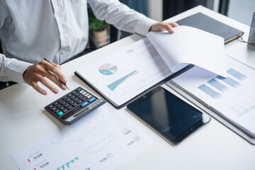 Accountant Auditing Business Financial Records