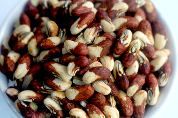Long bean seeds