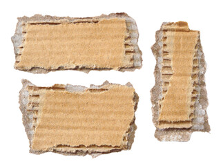 Pieces of torn or cut brown cardboard isolated design element on transparent background.