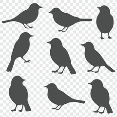 The silhouettes of birds on transparent background. 