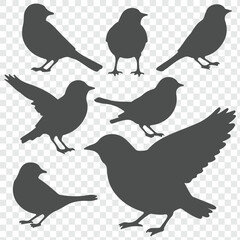 The silhouettes of birds on transparent background. 
