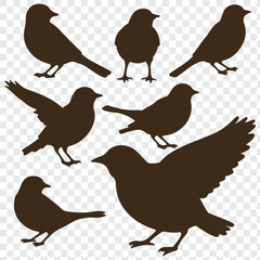 The silhouettes of birds on transparent background. 
