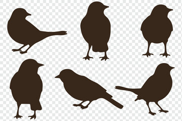 set of silhouettes of birds. eps 10.