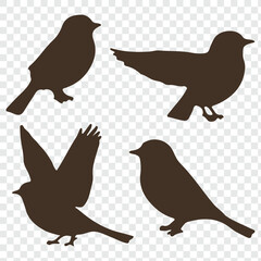 bird silhouette vector illustration. Vector elements for design. Birds icon set.