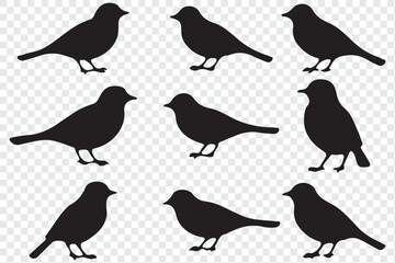 bird silhouette vector illustration. Vector elements for design. Birds icon set.