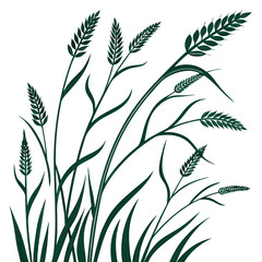 Obraz premium long grass isolated vector solid white background .eps