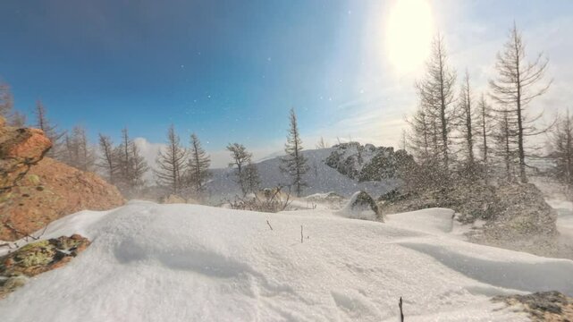 Alpine mountain with snow drifting in wind on sunny frosty day. Fine snow blows off alpine slope with trees under bright winter sunlight