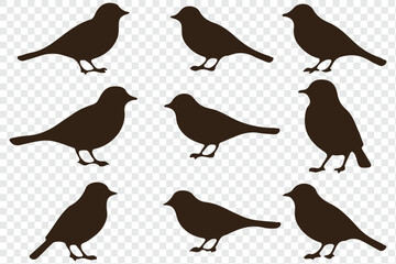 Fototapeta premium Set of bird silhouettes. Vector elements for design. perfect for logo design, art projects, and graphic design.