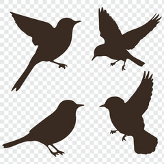  birds silhouette isolated on transparent clear background. Cute various simple contour birds songbird collection.