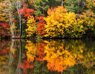 紅葉　秋　生成AI　背景　