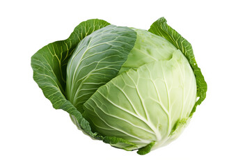 Raw cabbage isolated on white. Green cabbage