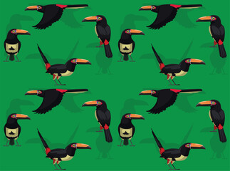 Aracari Collared Bird Toucanet Cartoon Character Seamless Wallpaper Background