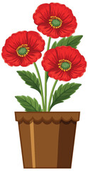 Vibrant Red Poppies in a Brown Pot