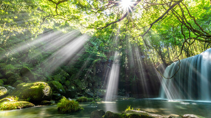 Sunbeams Shine Through Forest onto Nabegataki Waterfall in Kumamoto, Japan