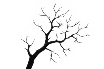 Skeletal tree branches silhouetted, spreading stark limbs against transparent backdrop, evoking haunting winter mood