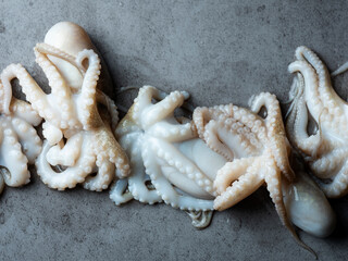 Fresh webfoot octopus, food ingredient