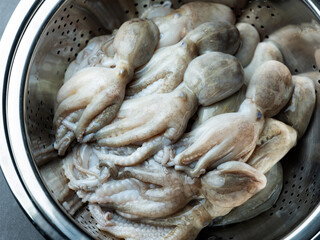 Fresh webfoot octopus, food ingredient