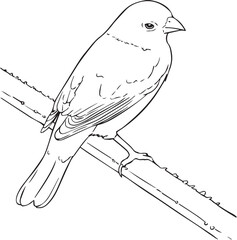 Bunting Bird on a branch line art