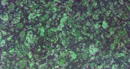 Green leaves on black, surface texture for background