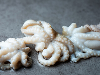 Fresh webfoot octopus, food ingredient