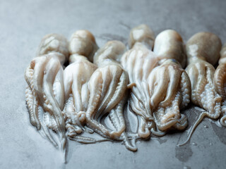 Fresh webfoot octopus, food ingredient