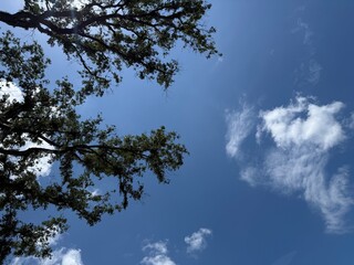 clouds and sky