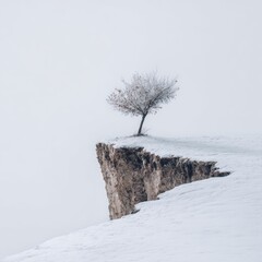 Small tree atop snowy cliff, minimalist