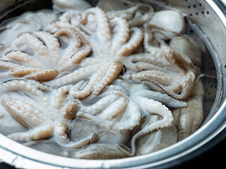 Fresh webfoot octopus, food ingredient