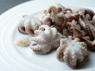 Boiled webfoot octopus on a plate