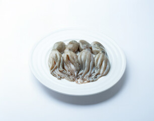 raw short arm octopus on a plate