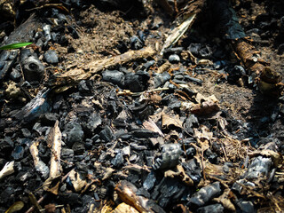 macro close-up pieces of burnt wood, ash, and debris scattered across the ground abstract texture background
