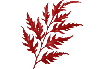 Red fern branch isolated on transparent background, ideal for graphic projects requiring natural elements