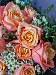 A close-up of rose flower.	