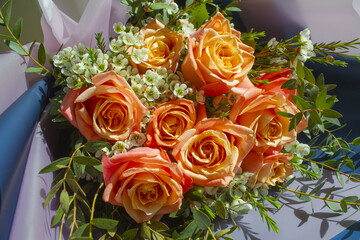 A close-up of rose flower.	