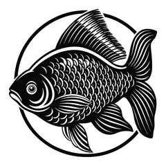 Skipjack shad alosa chrysochloris, fish from North America