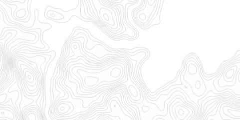 Fototapeta premium Topographic seamless map pattern with contour lines. Abstract geographic elevation design, lines sea map modern white background. 