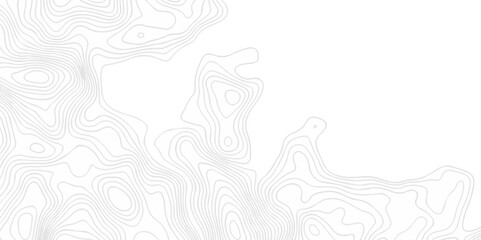 Topographic seamless map pattern with contour lines. Abstract geographic elevation design, lines sea map modern white background. 