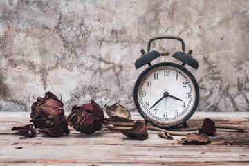 Fading of time or aging days concept. Two red roses that has withered and faded. old abandoned...