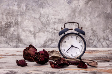 Fading of time or aging days concept. Two red roses that has withered and faded. old abandoned...
