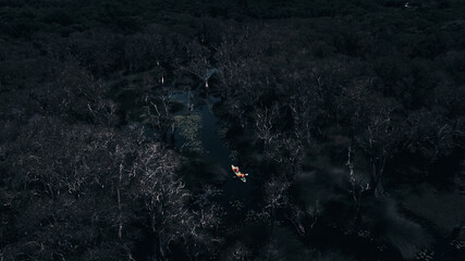 Travel Kayaking Paddling Transparent Canoe Kayak in peat swamp forest wetlands in mornine time, Rayong botanic garden, A Wetland Sanctuary of Eastern Thailand, Rayong Province, Thailand