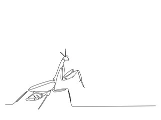 Praying mantis in single outline illustration. Continuous line art drawing of mantis. Editable stroke.