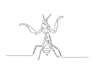 Praying mantis in single outline illustration. Continuous line art drawing of mantis. Editable stroke.