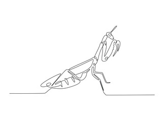 Praying mantis in single outline illustration. Continuous line art drawing of mantis. Editable stroke.